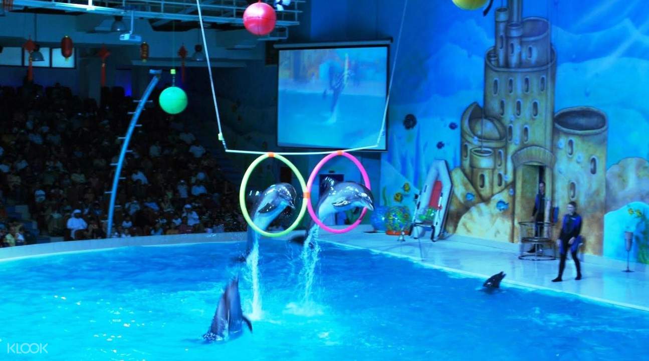 Dolphinarium Dubai